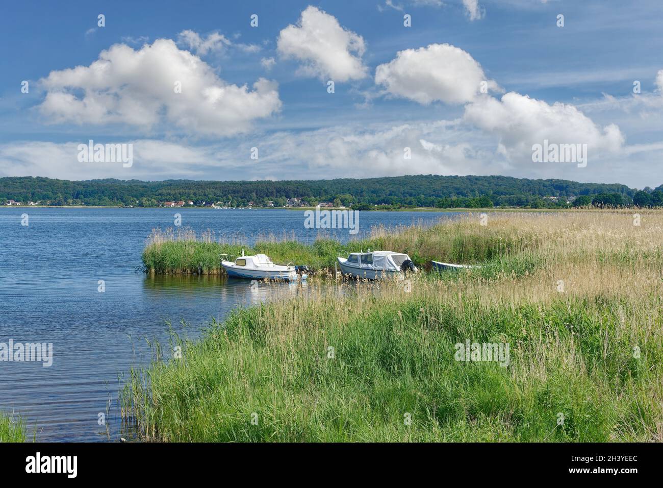 Lake Selliner See,Rugen,baltic Sea,Mecklenburg-Vorpommern,Germany Stock Photo