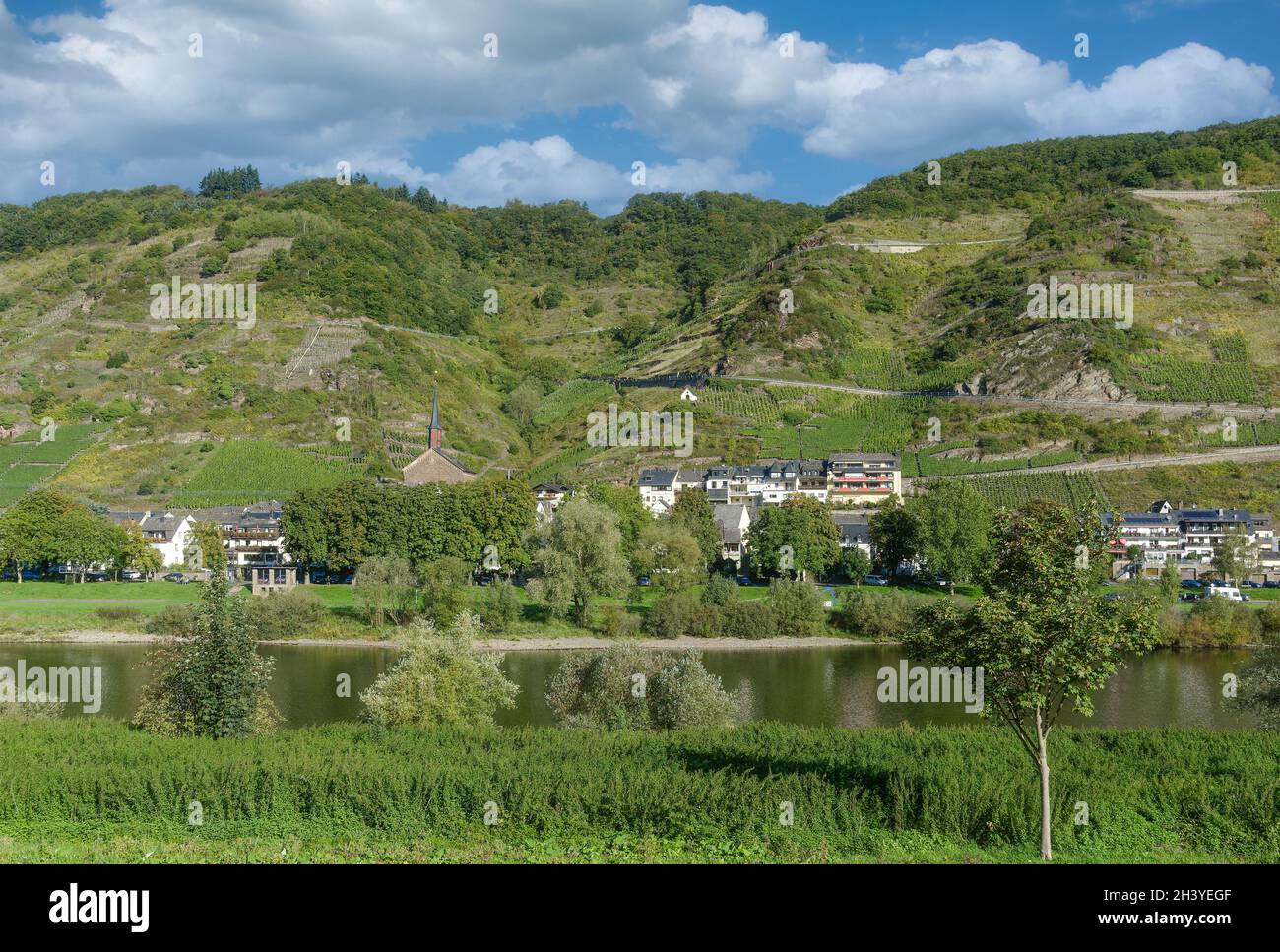 Wine Village of Valwig,Mosel River,Mosel Valley,Germany Stock Photo