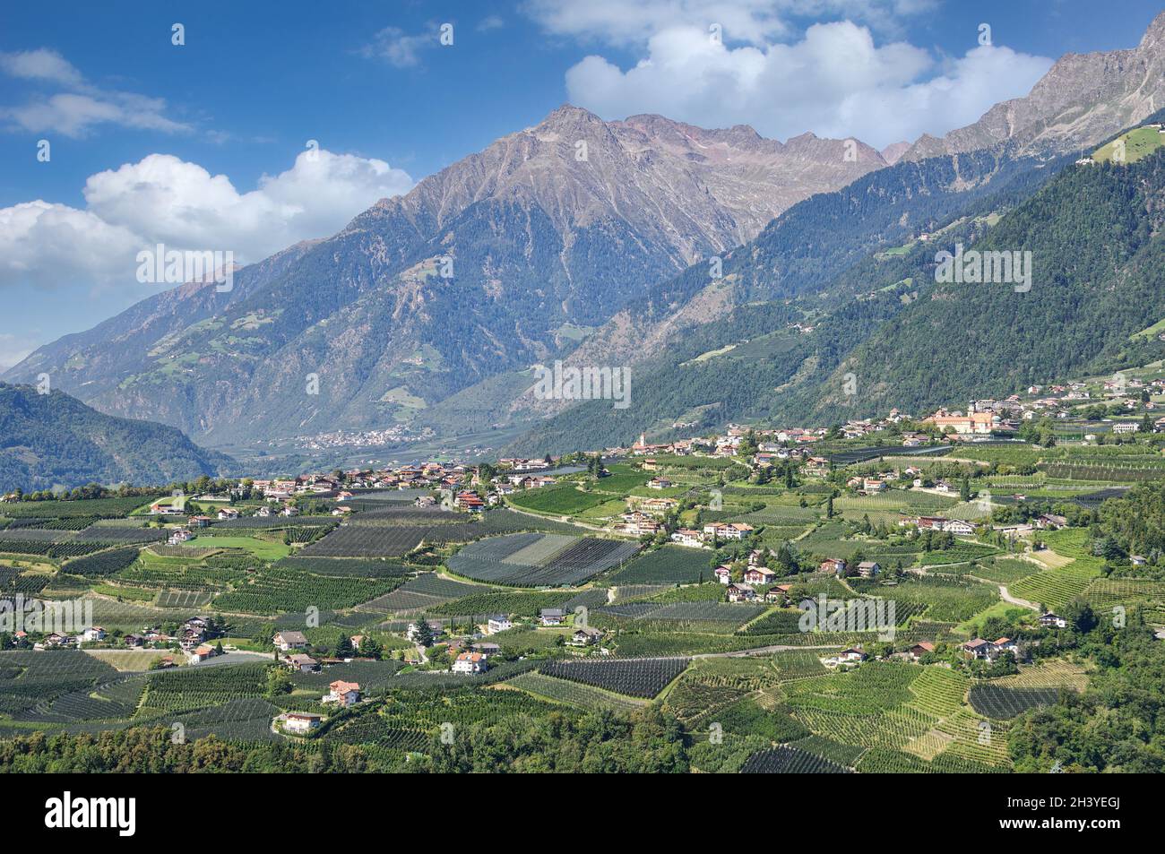 View to Dorf Tirol near Merano,South Tirol,Italy Stock Photo