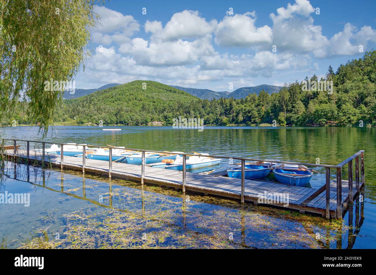 Lake Montiggler near Eppan,South Tirol,Italy Stock Photo