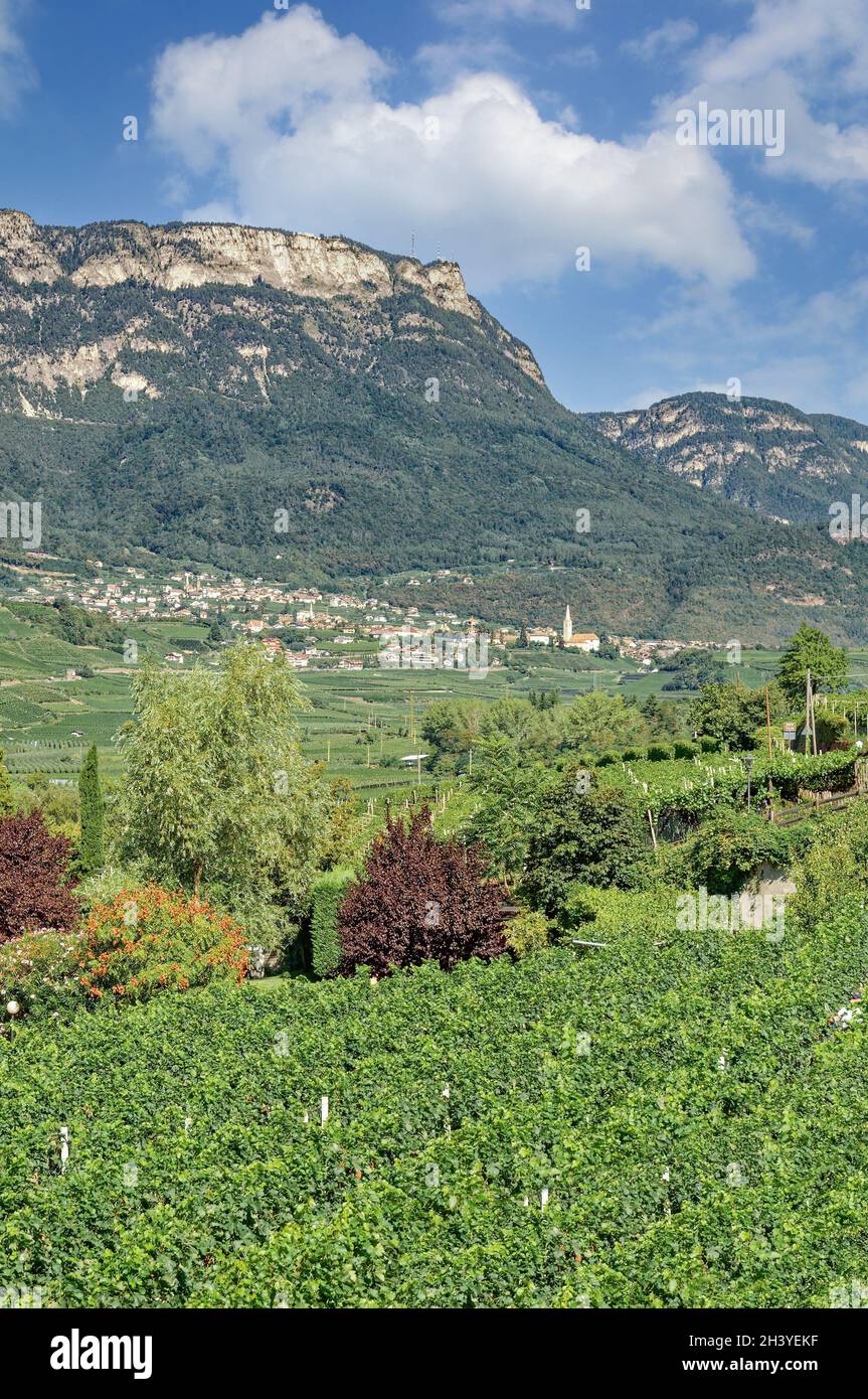 View to Kaltern an der Weinstrasse,South Tirol,Italy Stock Photo