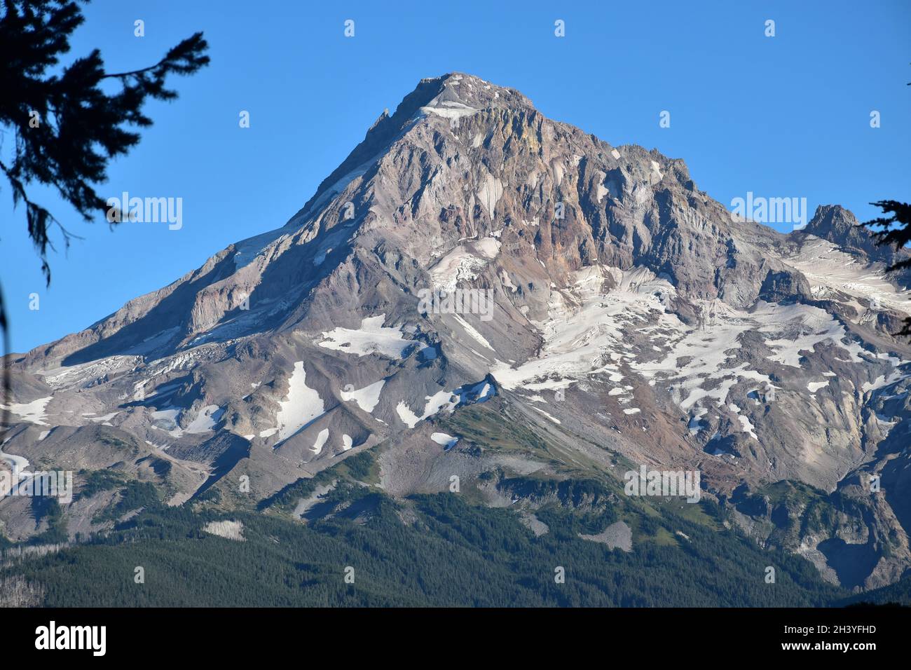 Mt Hood National Forest hike on trail 2000 from Lolo Pass and the