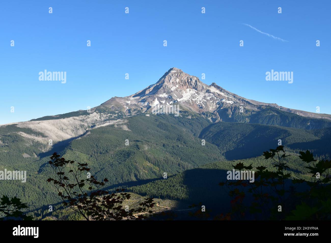 Mt Hood National Forest hike on trail 2000 from Lolo Pass and the