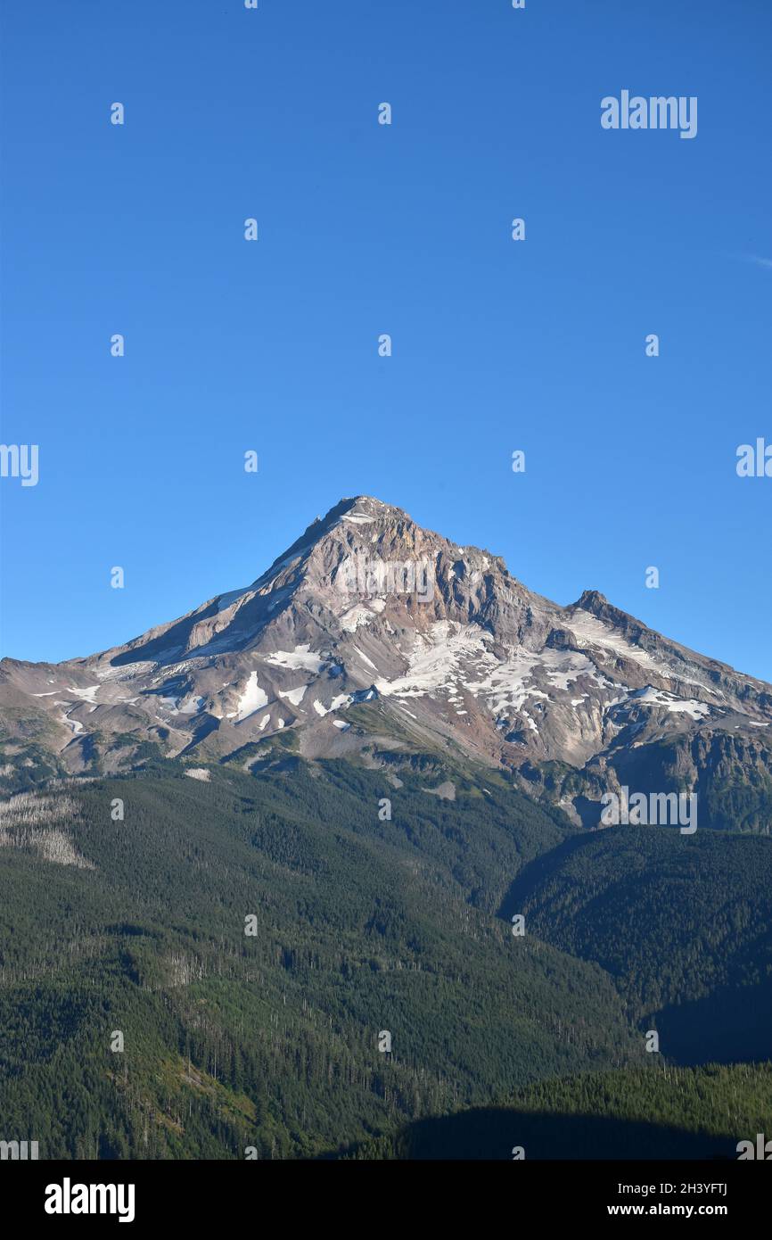 Mt Hood National Forest hike on trail #2000 from Lolo Pass and the ...