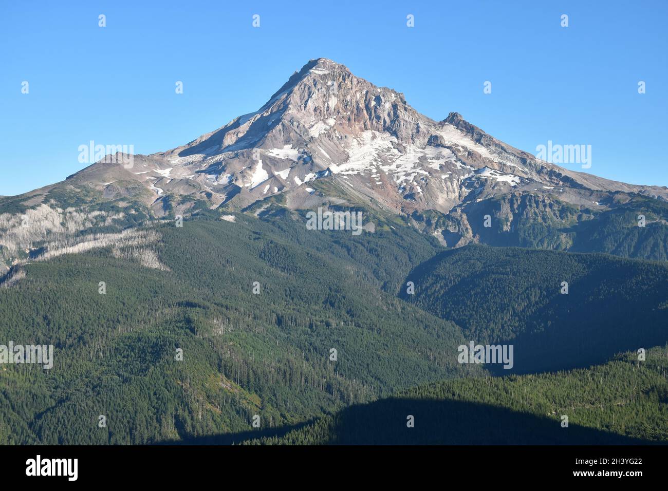 Mt Hood National Forest hike on trail 2000 from Lolo Pass and the