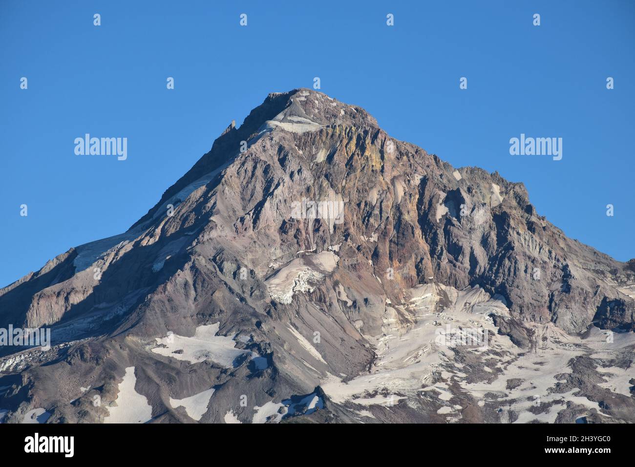 Mt Hood National Forest hike on trail #2000 from Lolo Pass and the ...