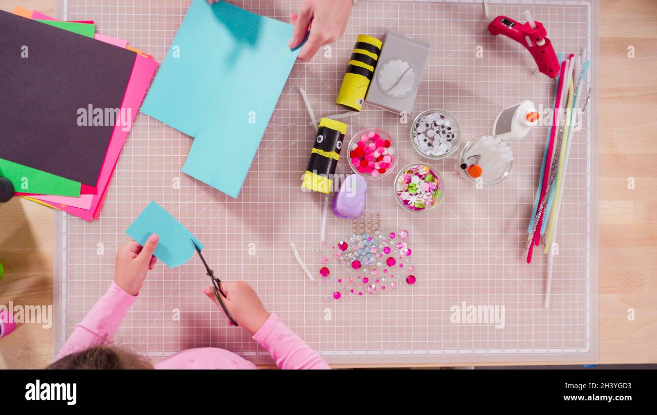 Lay Out Paper Pack Flat lay. Kids papercraft. Making paper bugs out of the empty toilet ...