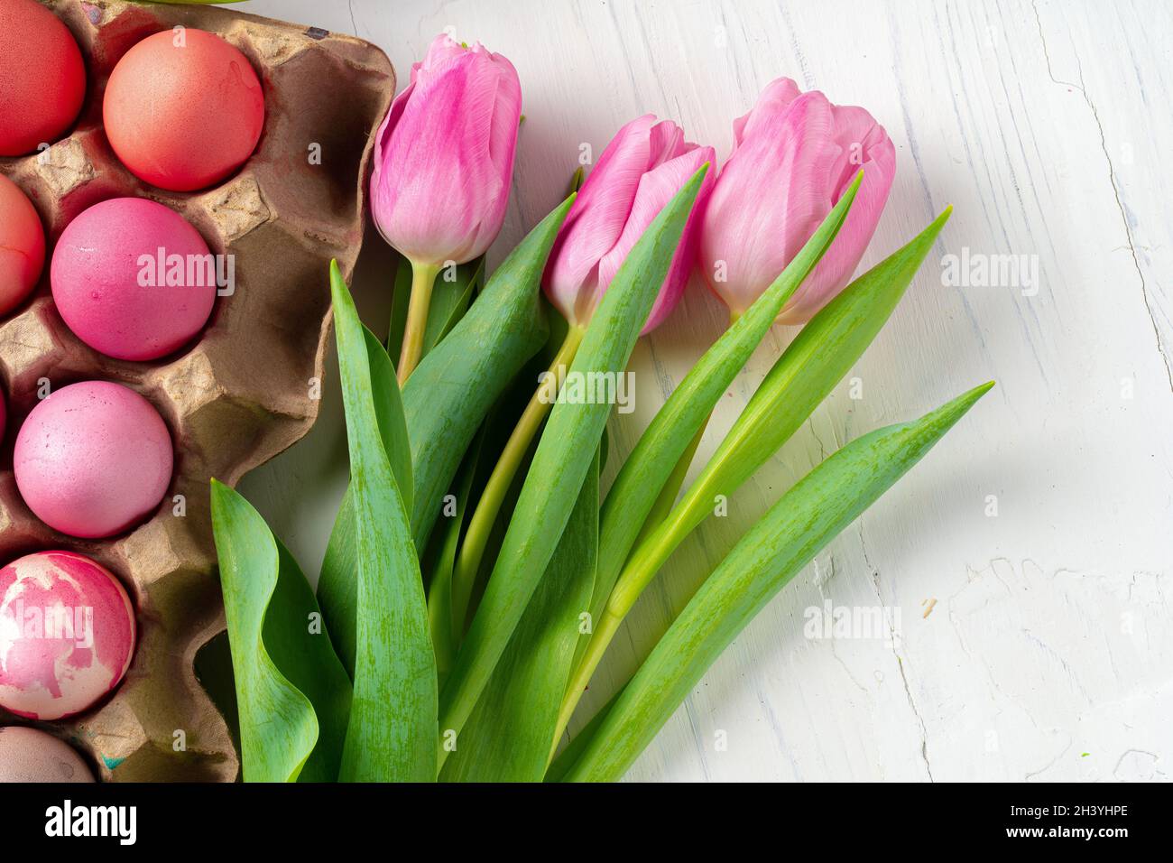 Painted Easter eggs in an eggbox with fresh tulips close up Stock Photo ...