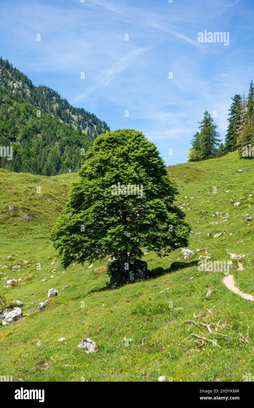 Germany upper bavaria near hi-res stock photography and images - Alamy