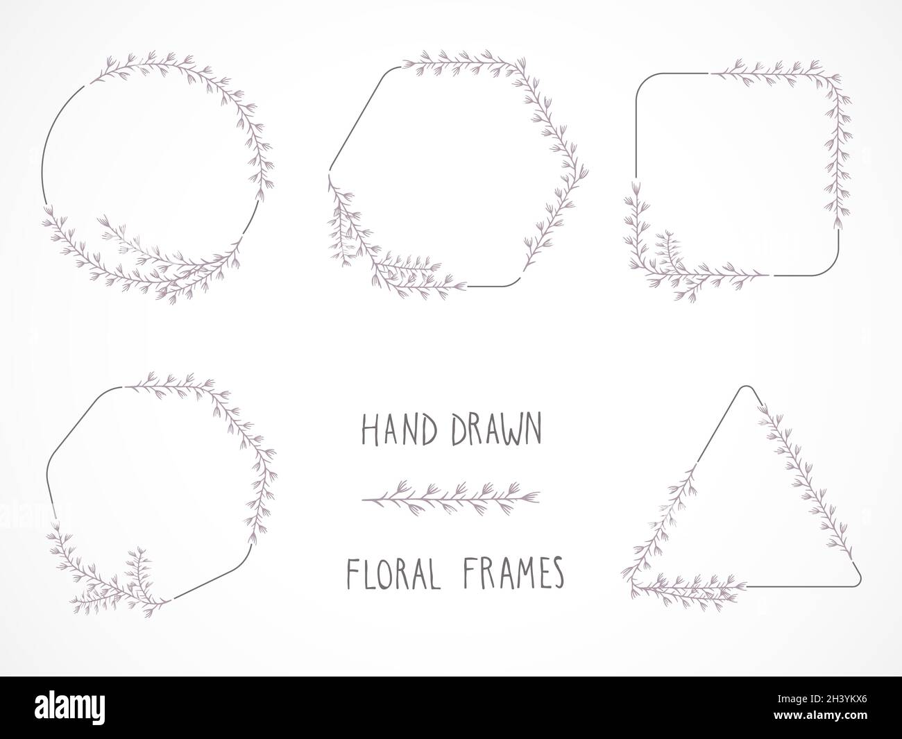 Vector set of floral hand drawn frames and decorative elements Stock ...