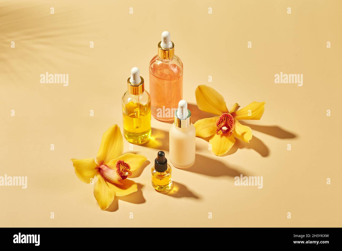 Cosmetic care products in glass bottles with orchid flowers - serums, cream, gel, oils. Concept for face and body care, wellness Stock Photo