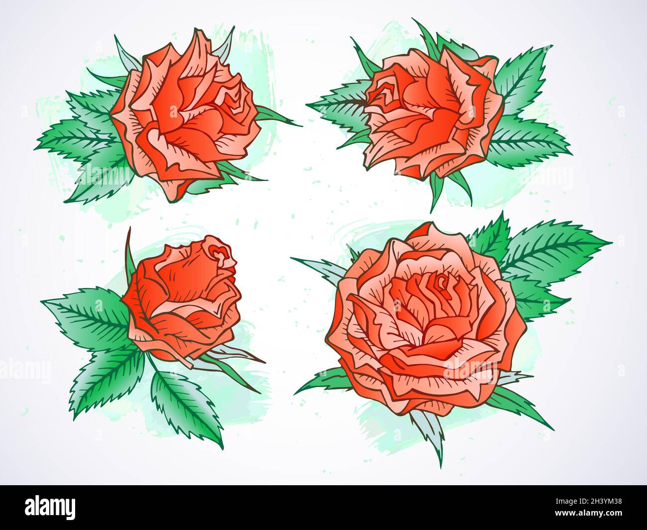 Vector set of hand drawn roses and leaves with textured watercolor ...