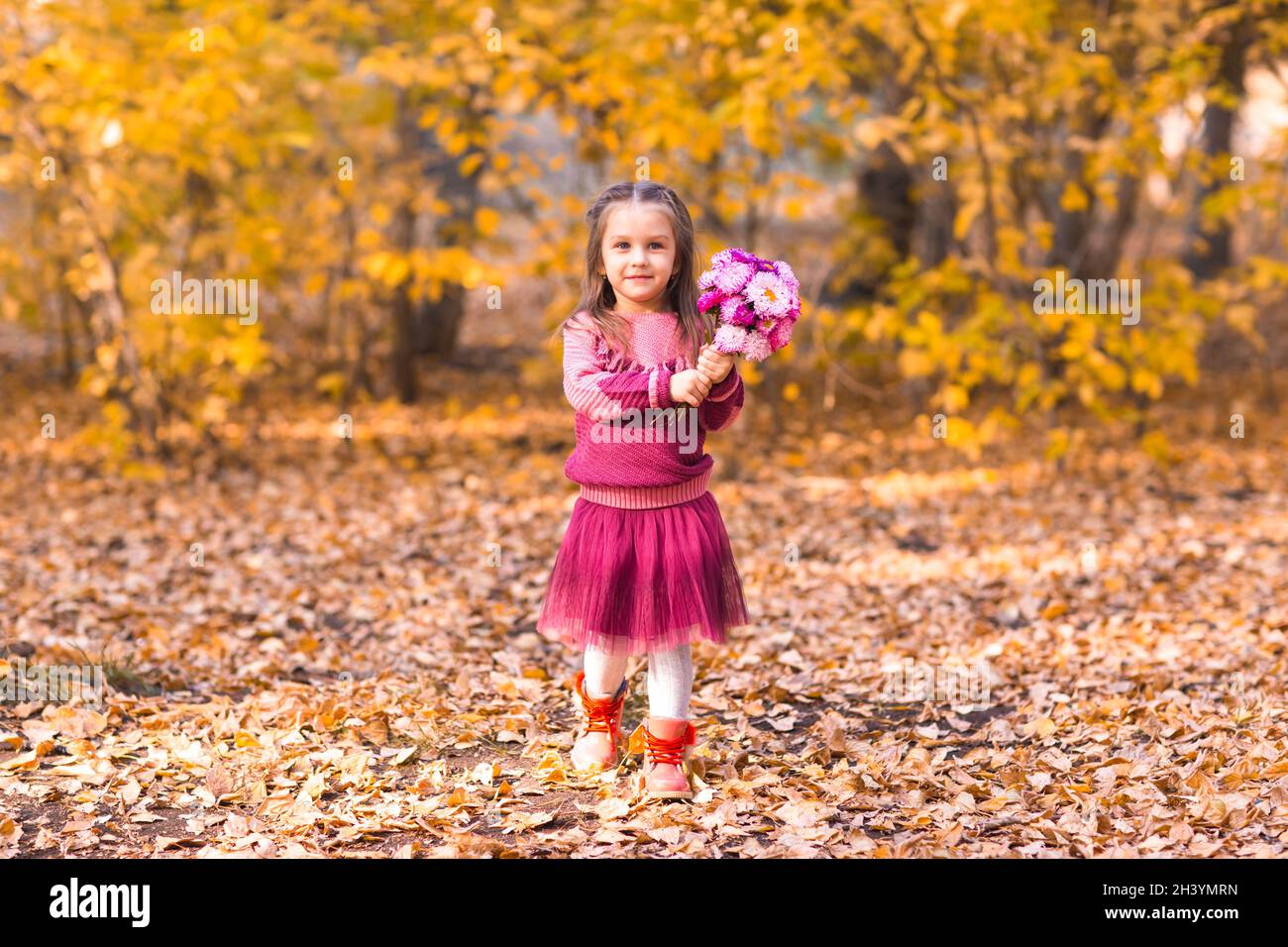 Cute little girl in autumn park with pink flower bouquet Stock Photo ...