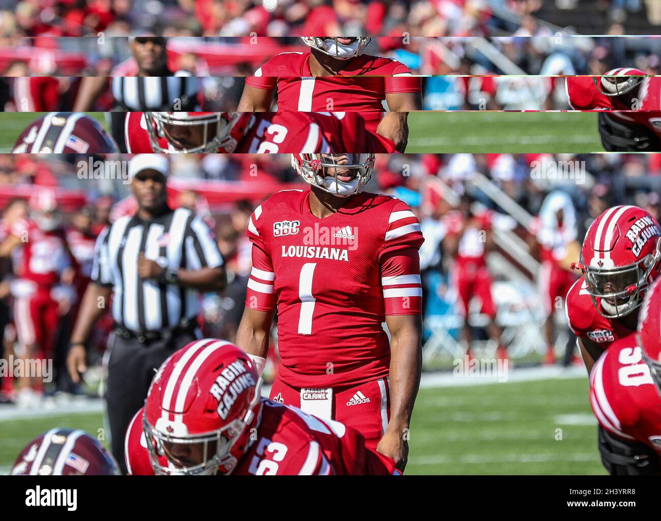 October 30, 2021 Louisiana QB Levi Lewis 1 surveys the defense during the NCAA football game