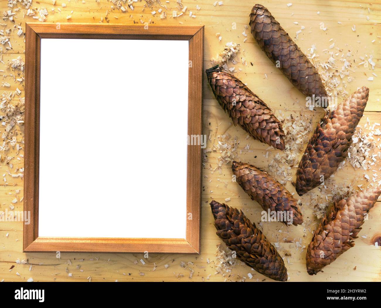 Floral still life with signature frame Stock Photo
