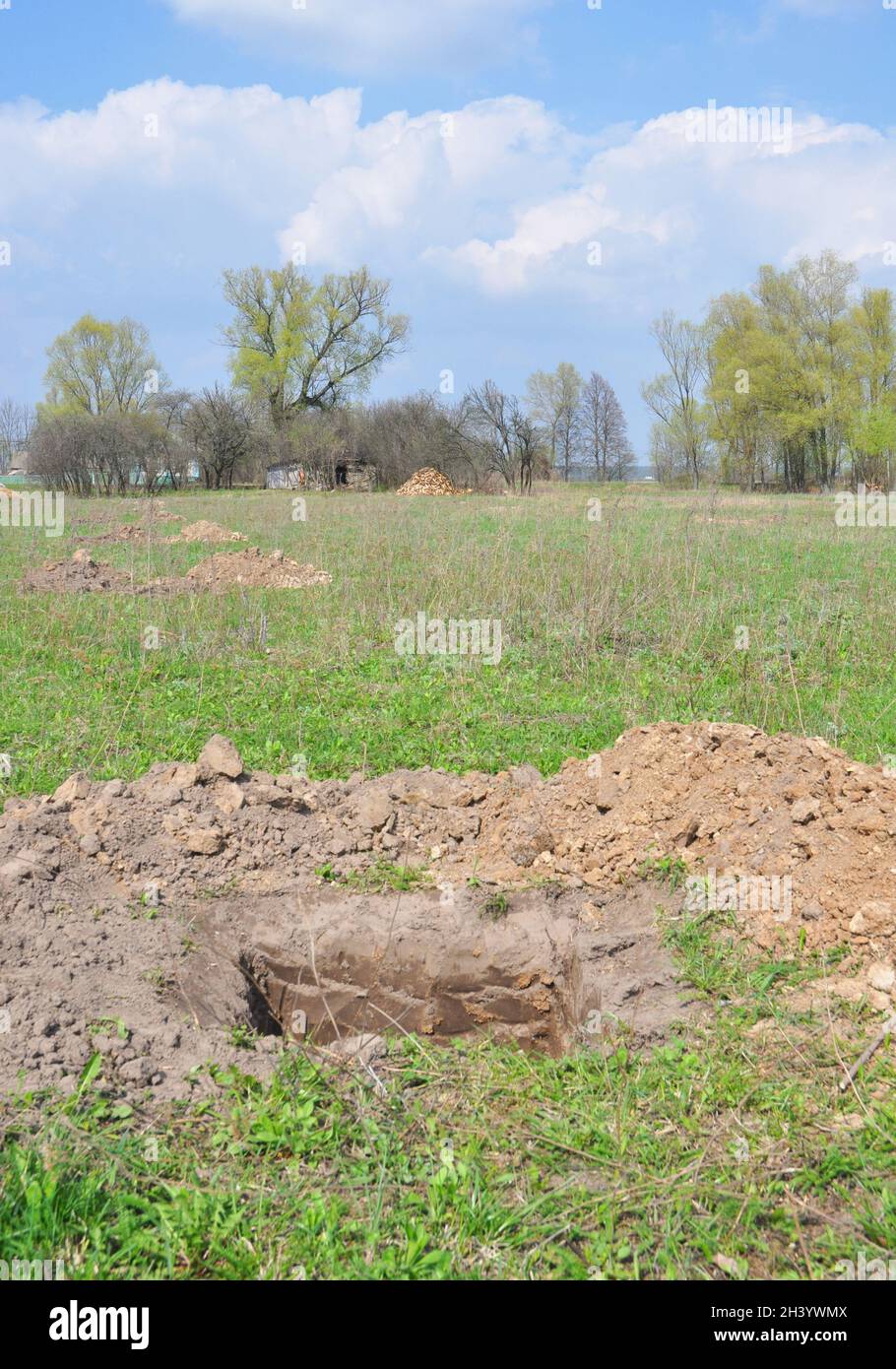 How to dig a perfect planting hole in garden. Dig a hole to plant a fruit tree in springtime