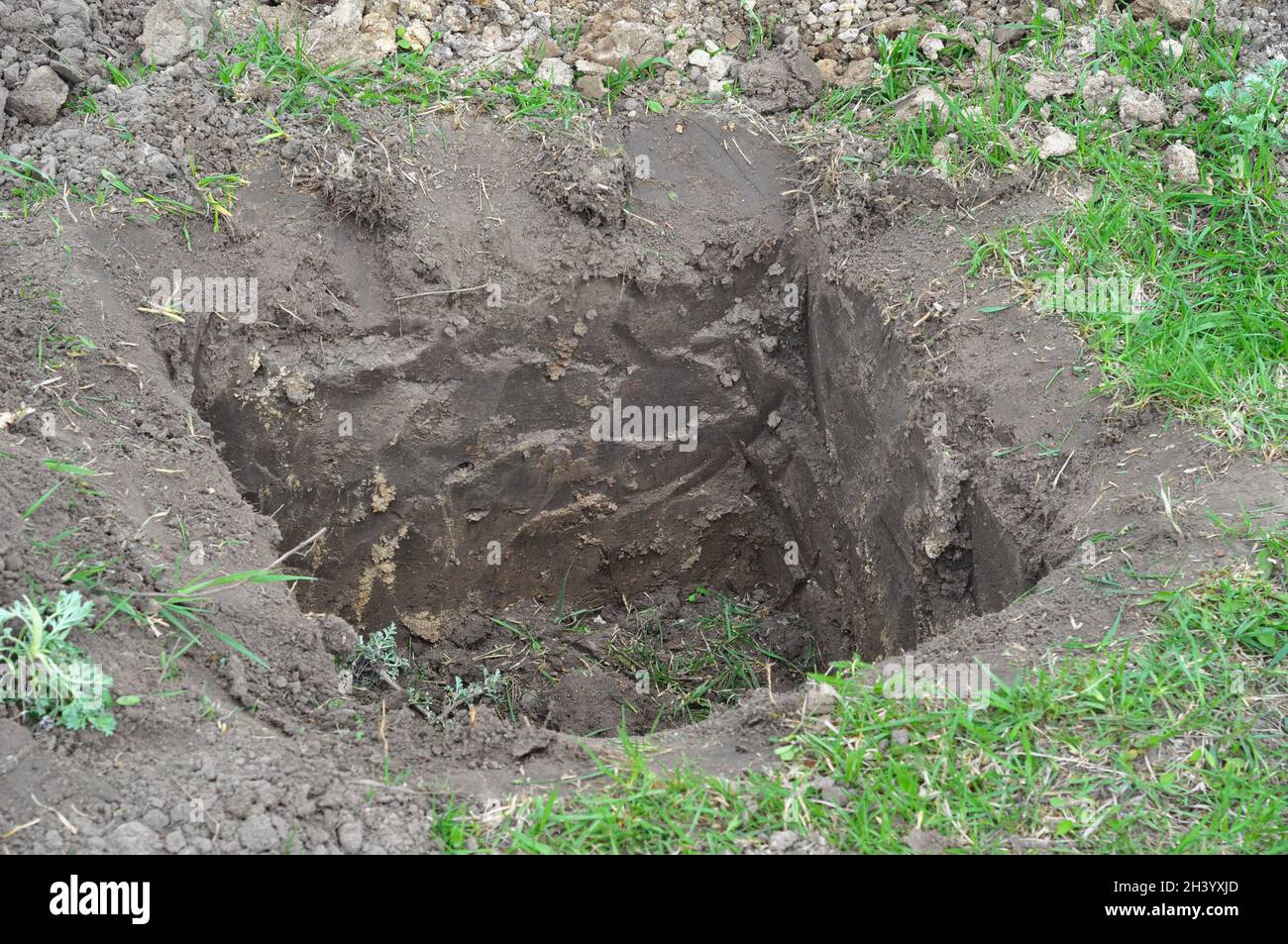 Tree organic fertilization with compost in digging hole for fruit tree