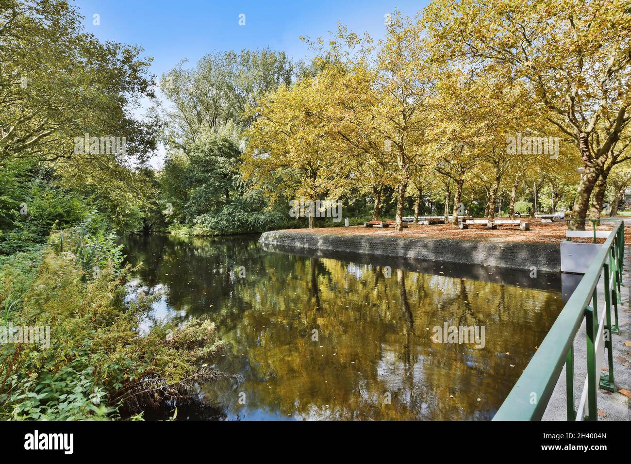 Beautiful park with a lake and many trees Stock Photo - Alamy