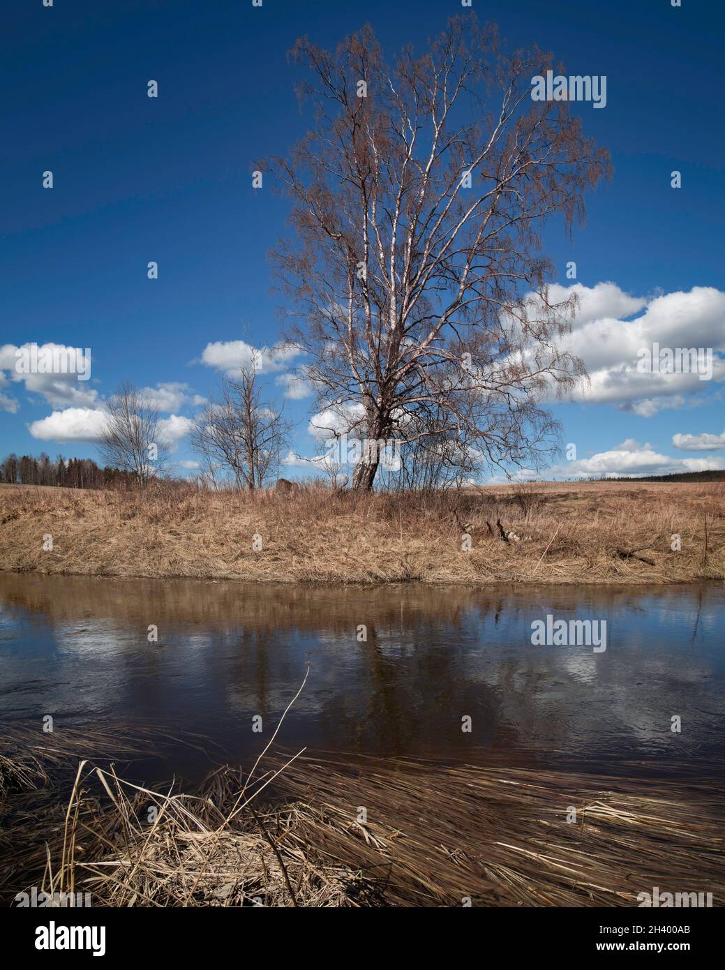 landscape with fields and hills with river, clouds, birch and clouds Stock Photo