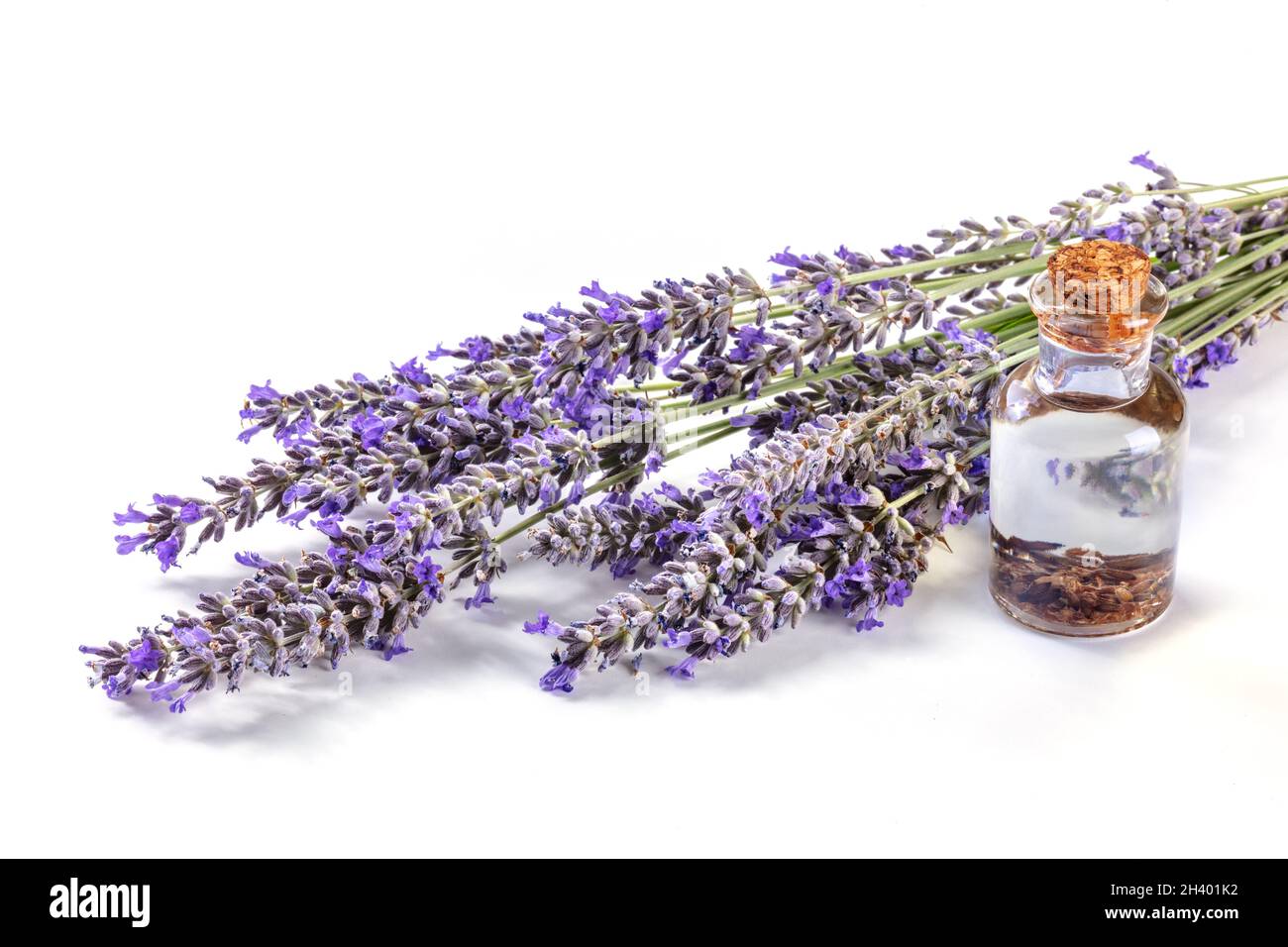 Lavender infused oil with lavandula flowers on a white background Stock ...