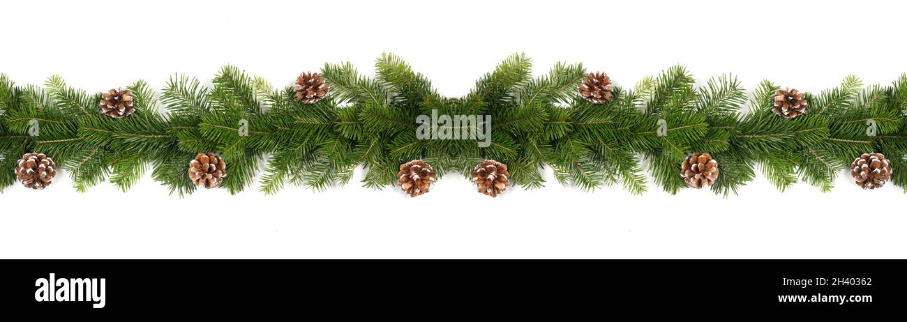 Christmas Border frame of tree branches and pine cones on white ...