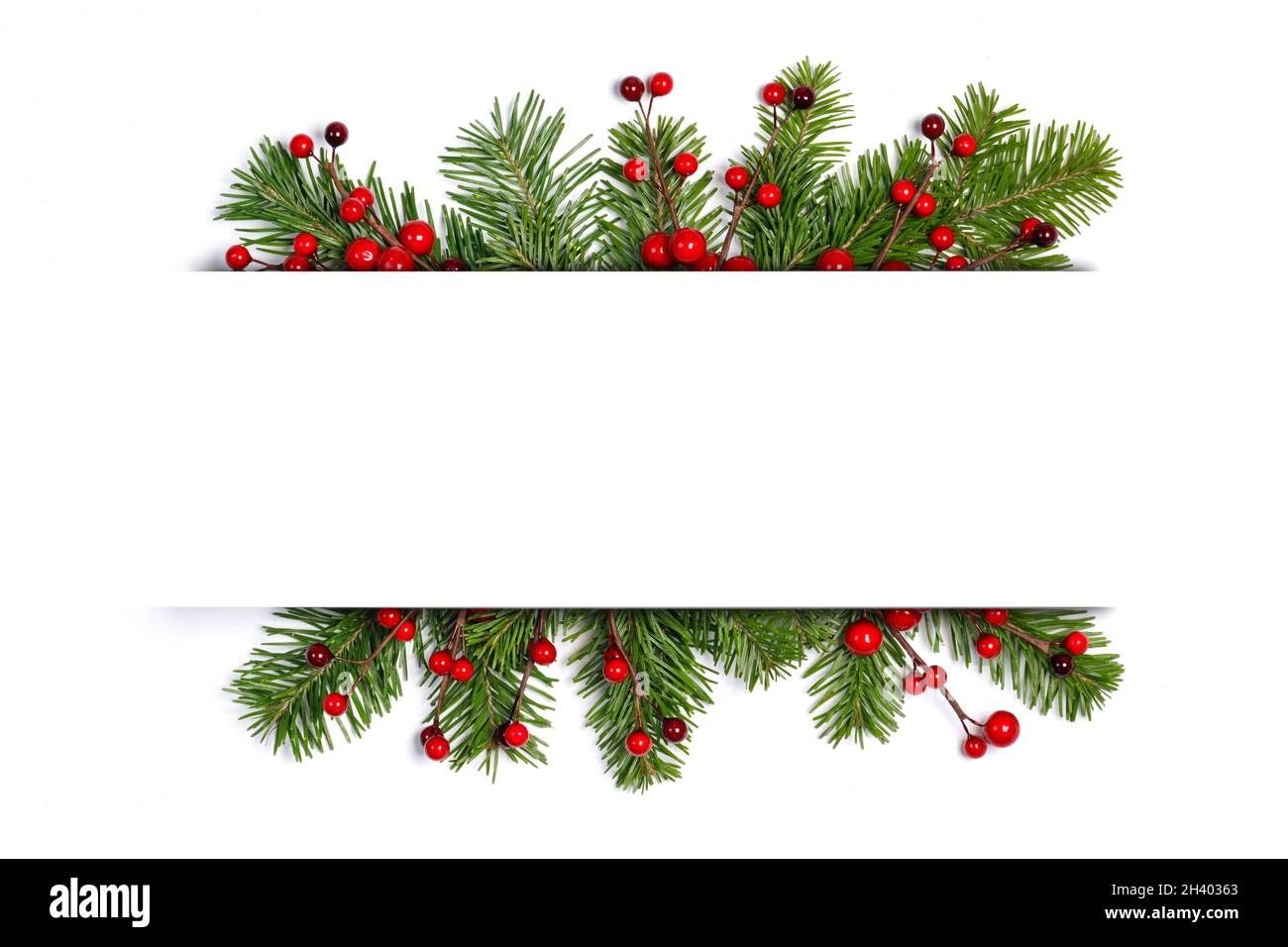 Christmas green fir tree branch and red holly berry frame border ...