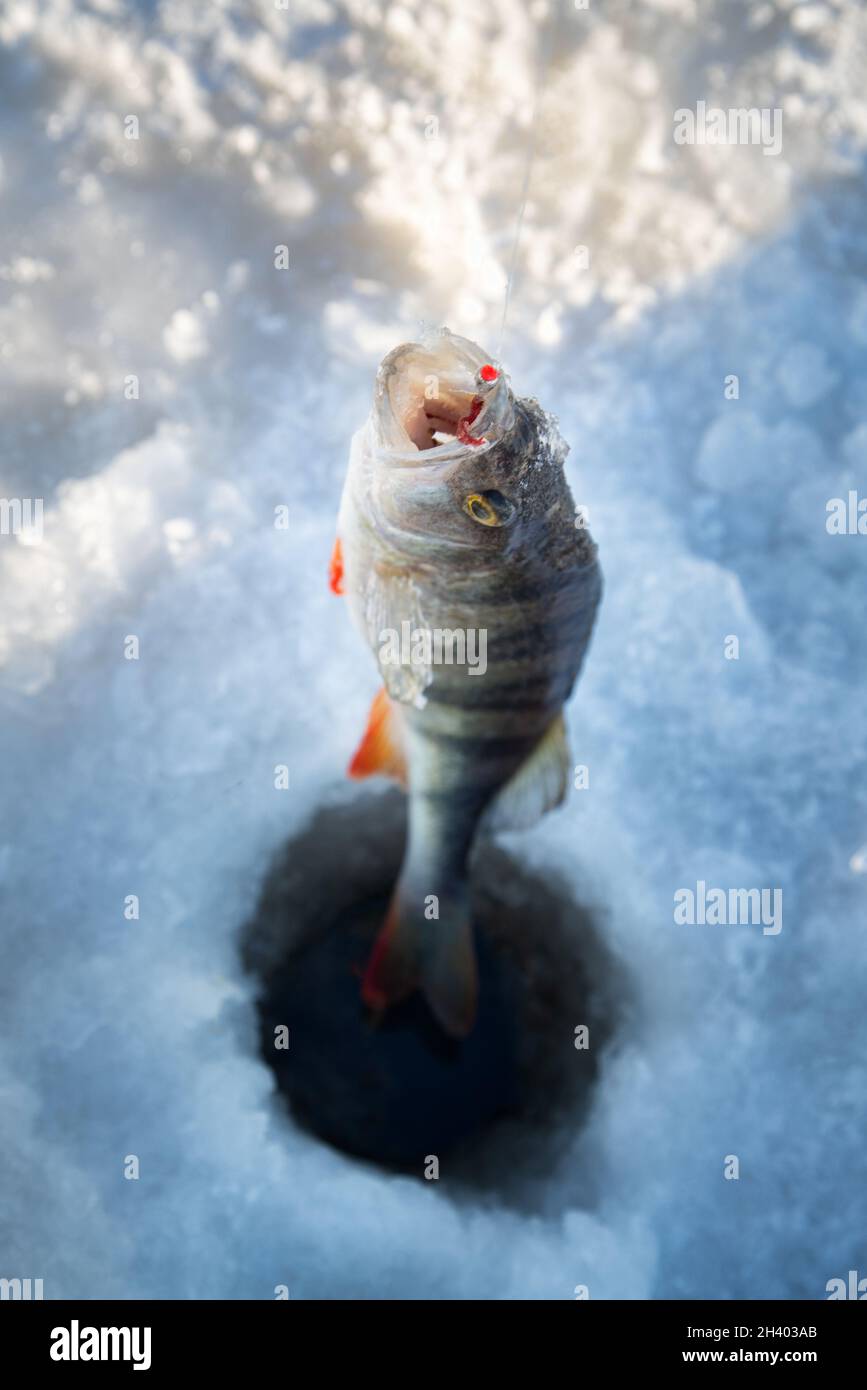 Active recreation in winter on river. Stock Photo