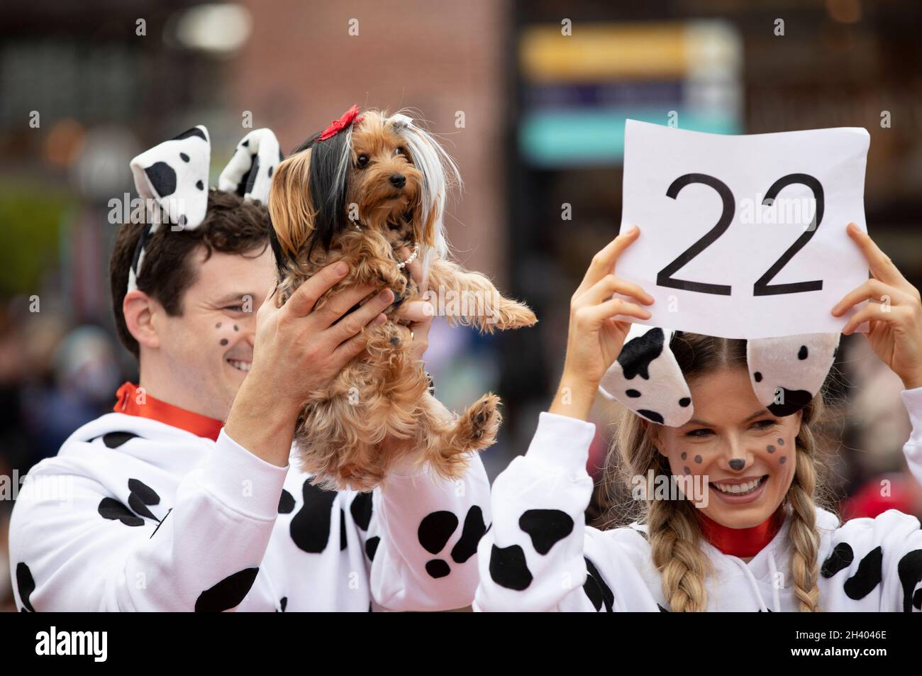 Man dressed as dog costume hires stock photography and images Alamy
