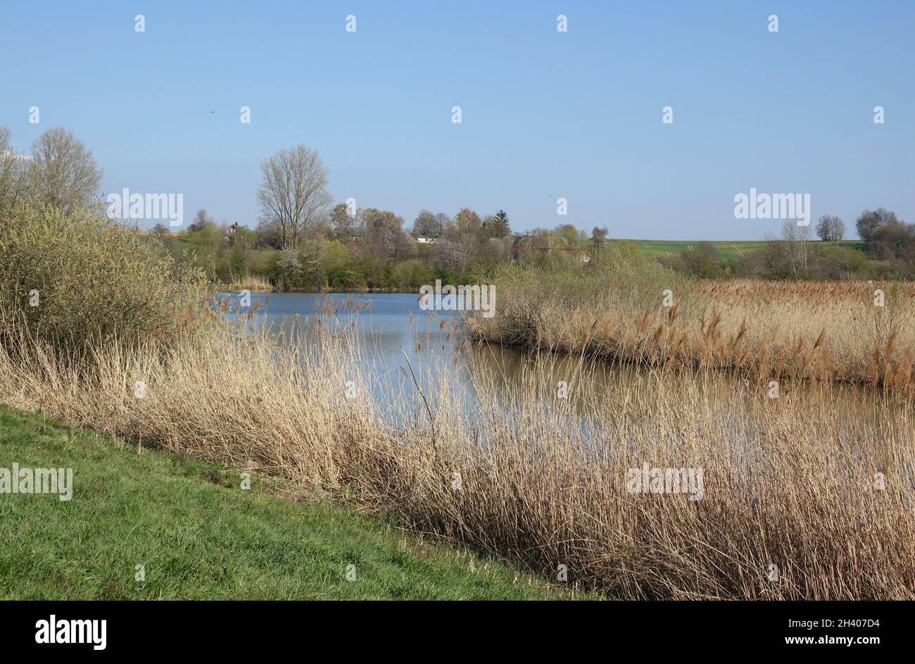 Reinheim pond hires stock photography and images Alamy