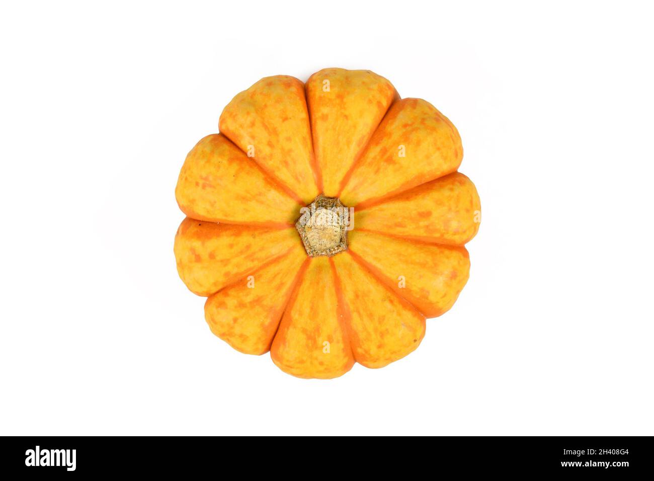 Top view of orange and yellow Carnival squash on white background Stock Photo