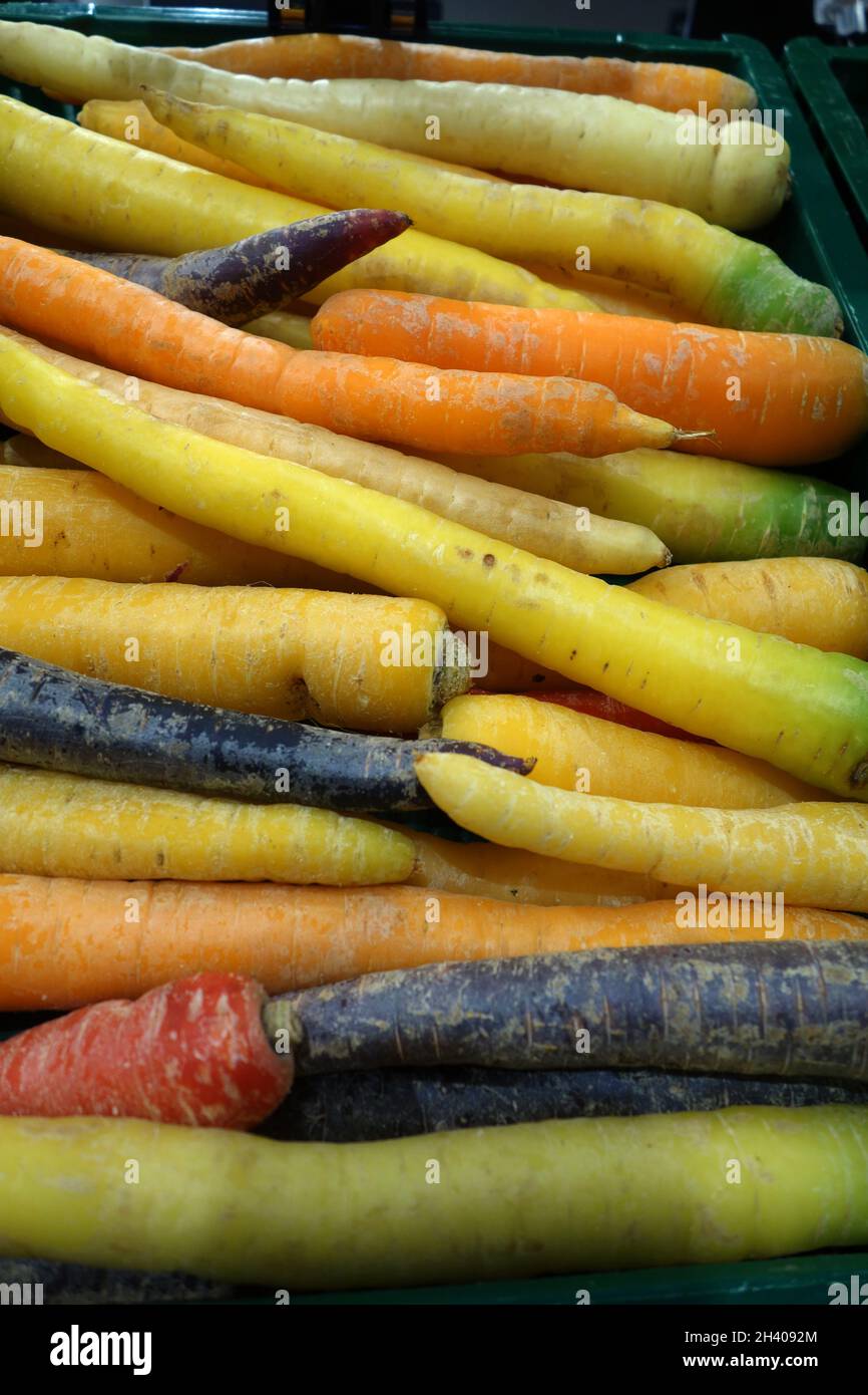 Carrots Stock Photo