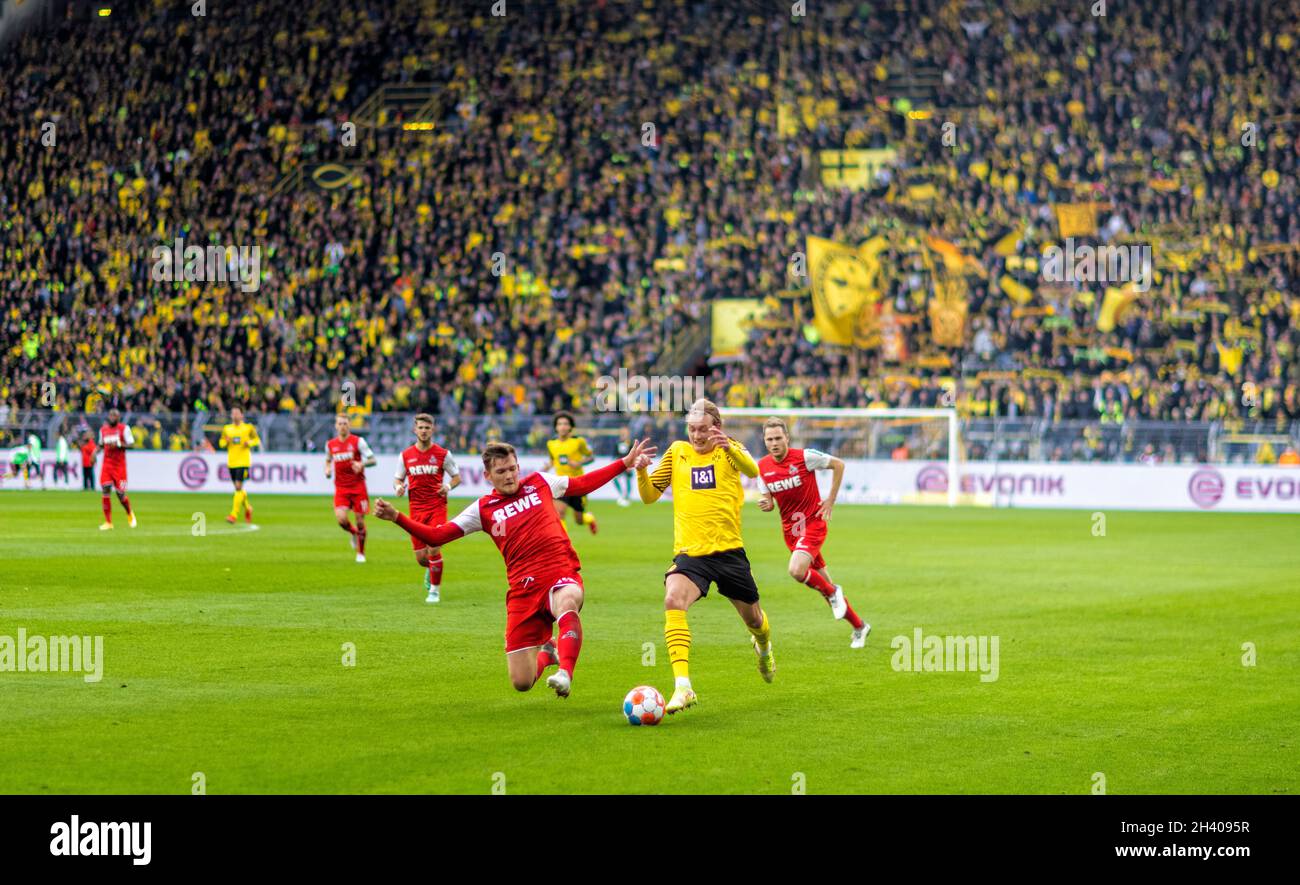 Luca Kilian (Köln), Julian Brandt (BVB) Borussia Dortmund - 1. FC Köln 30.10.2021, Fussball, DFB, Pokal, , Saison 2021/22  Foto: Moritz Müller  Copyri Stock Photo
