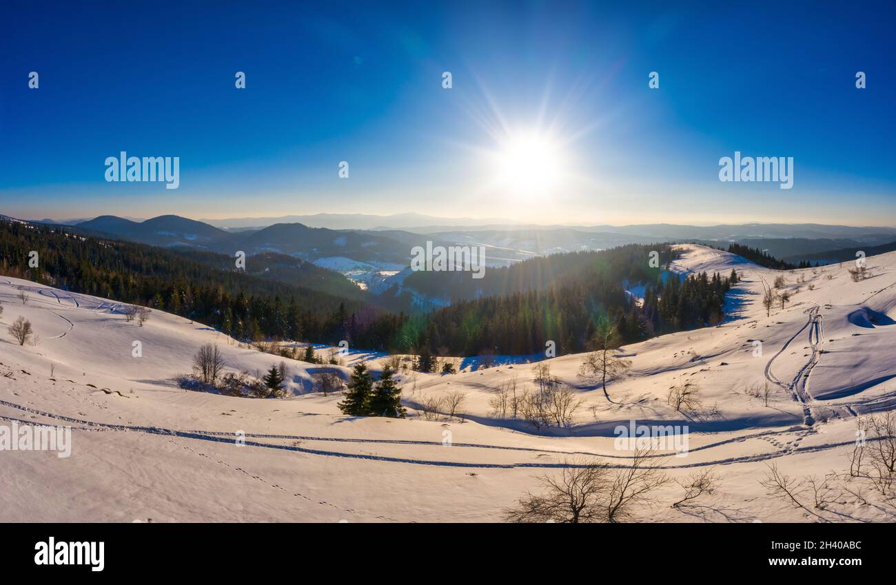 Sunny magical forest clouds aerial hi-res stock photography and images ...