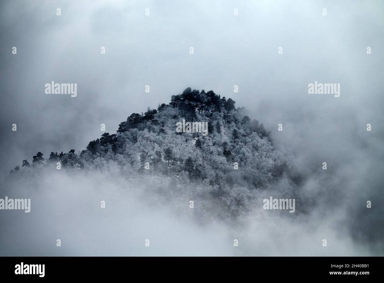 Winter in the mountains and icy fog Stock Photo