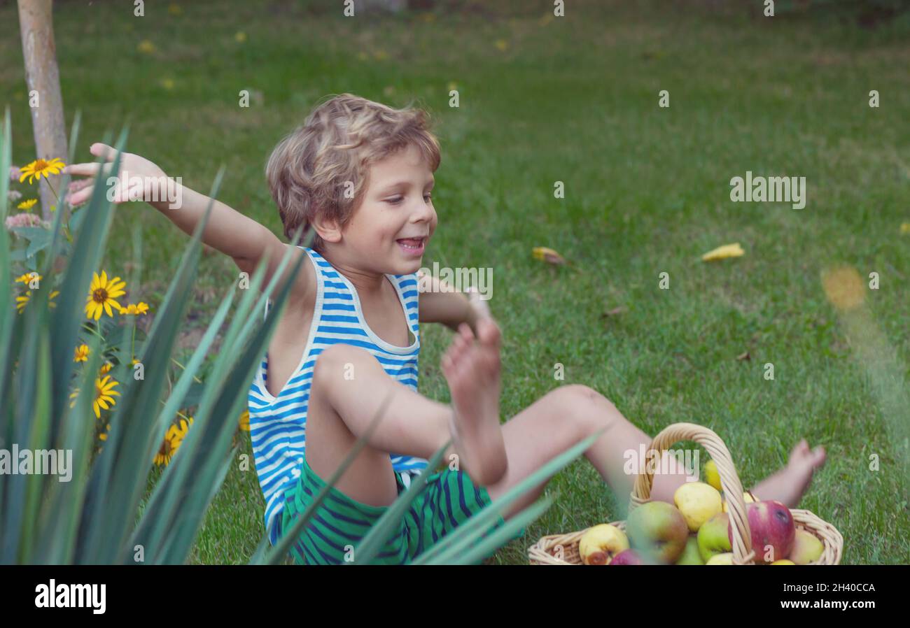 Little boy in garden Stock Photo Alamy