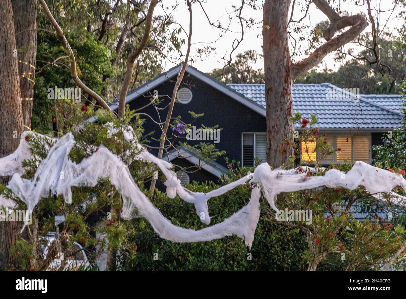 Sydney house dressed up for halloween with spiders web decorations