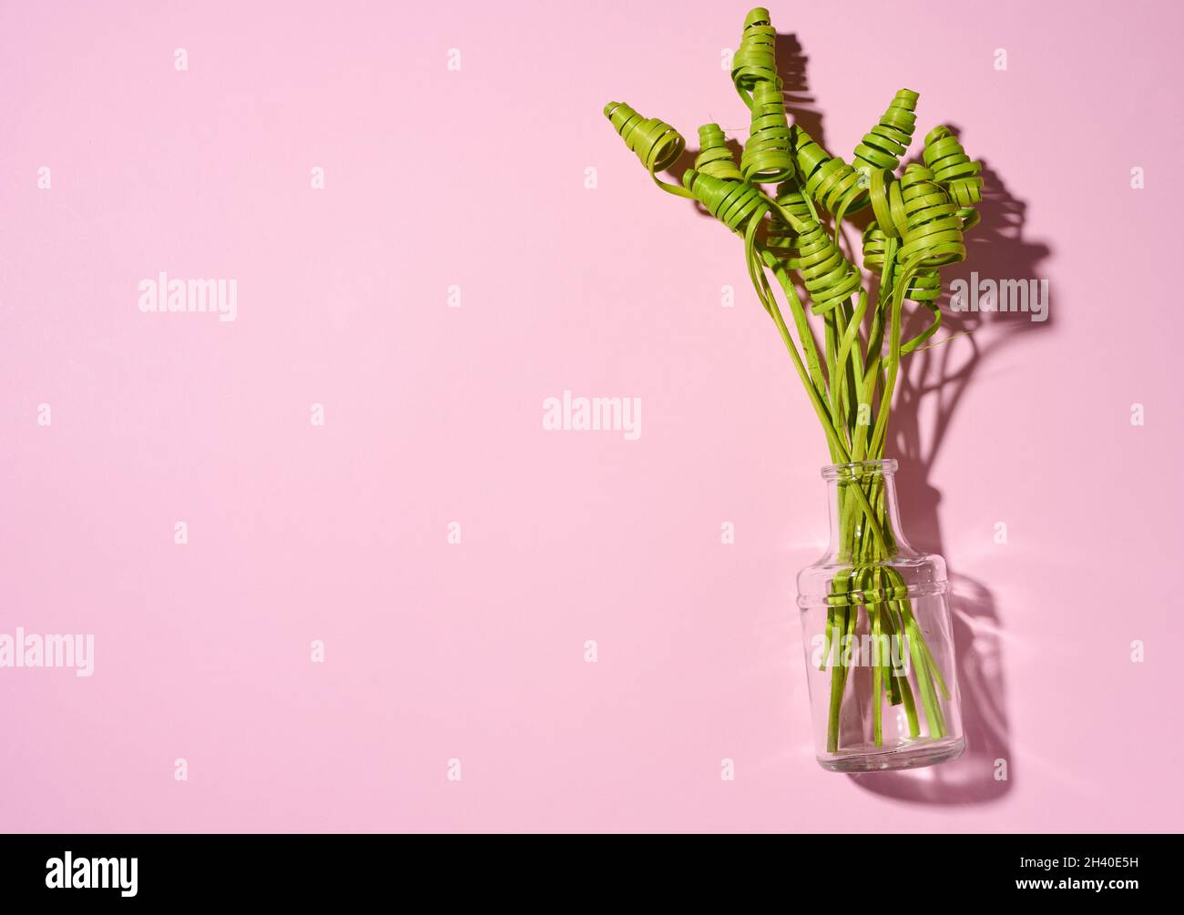 Glass transparent vase with green dried flowers on a white table, pink background Stock Photo