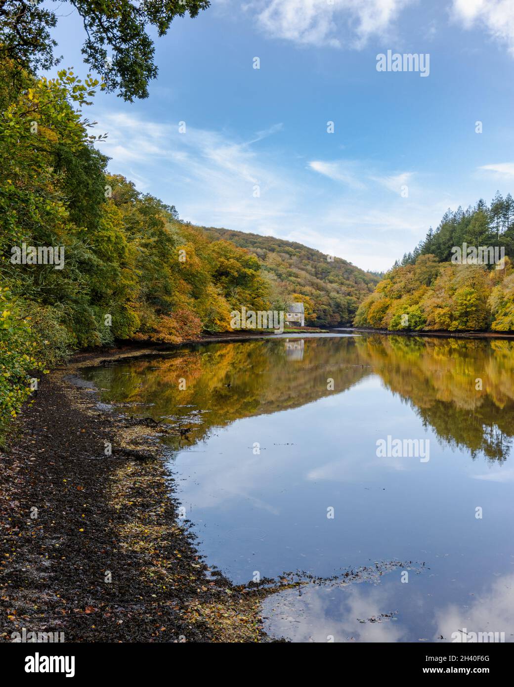 Autumn reflections in the River Lerryn at Lerryn Cornwall Stock Photo