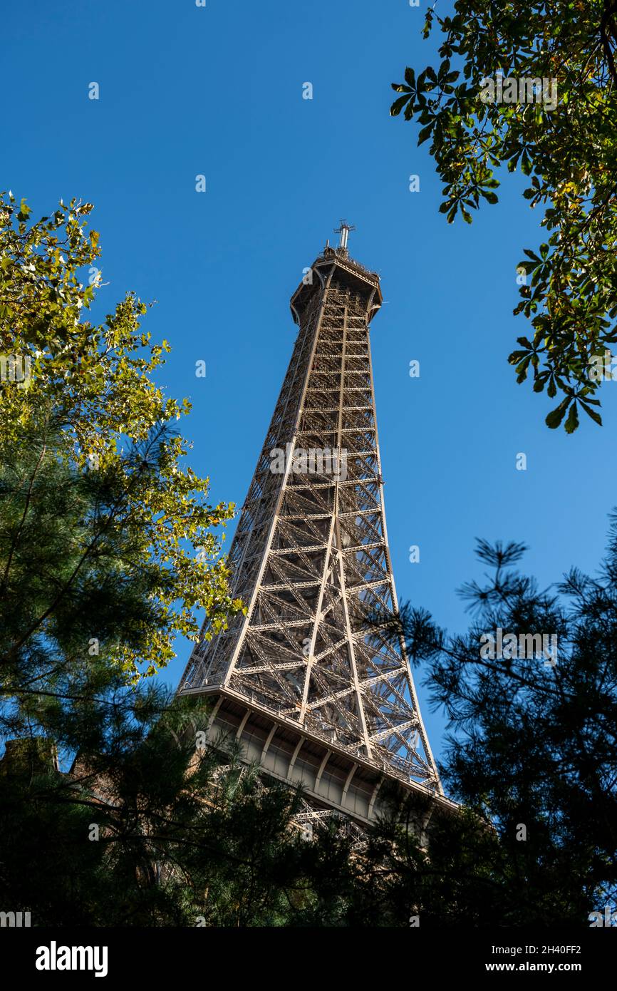 Low angle view of the Eiffel Tower with the colors of autumn, Paris, France Stock Photo