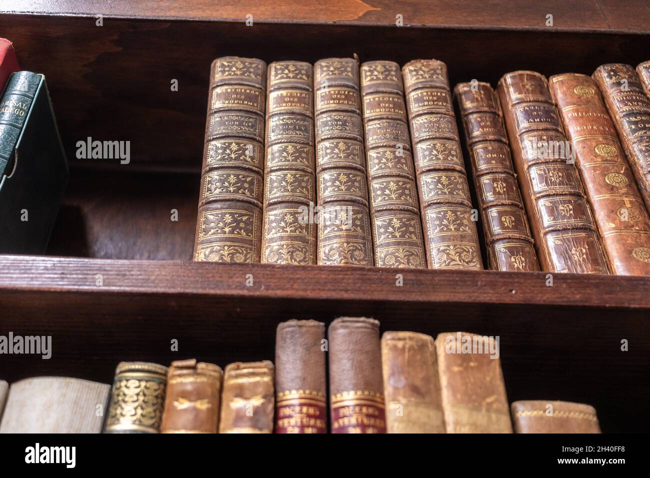 old vintage library shelves with books Stock Photo Alamy