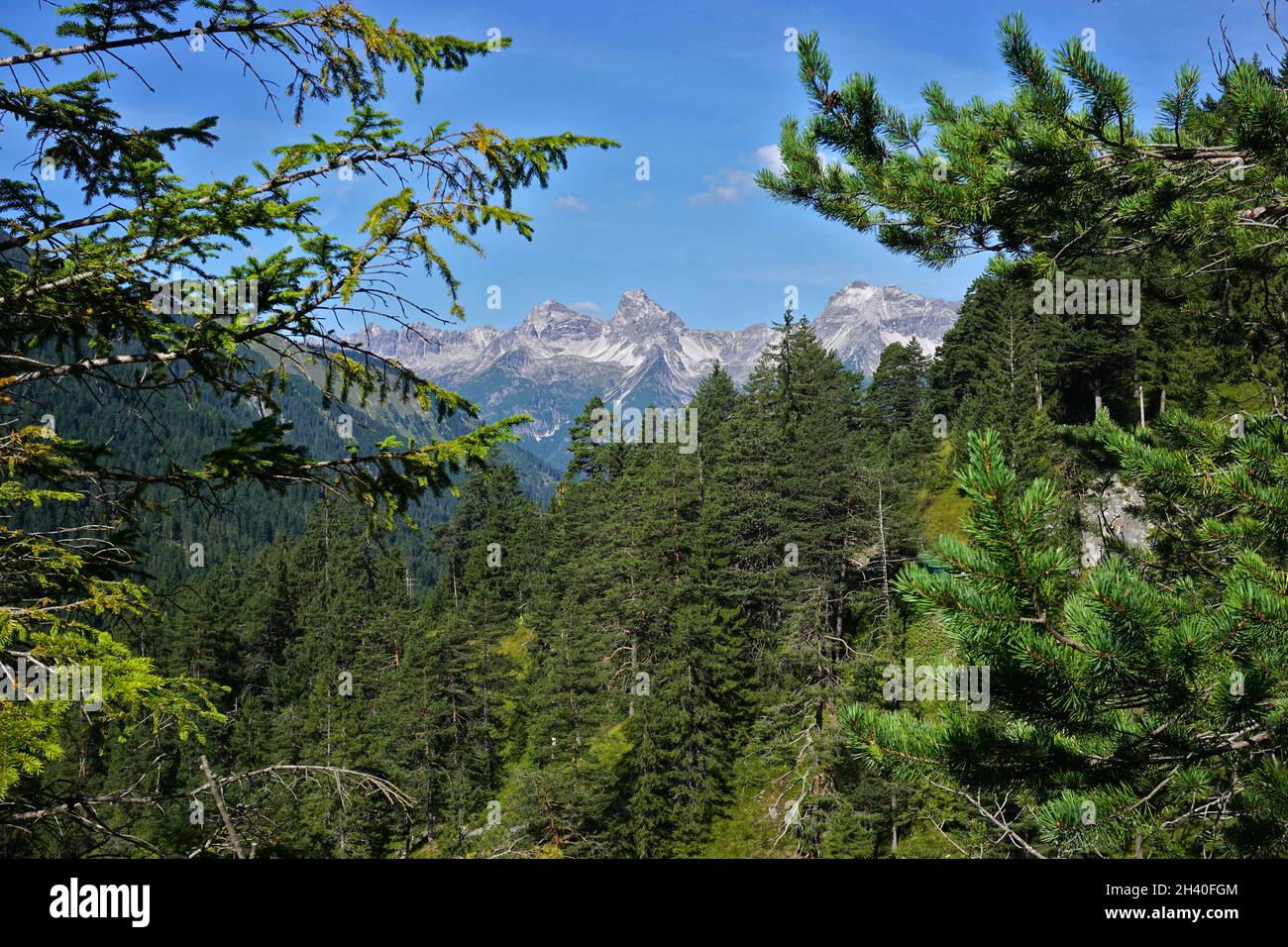 Kreuzkarspitze hi-res stock photography and images - Alamy