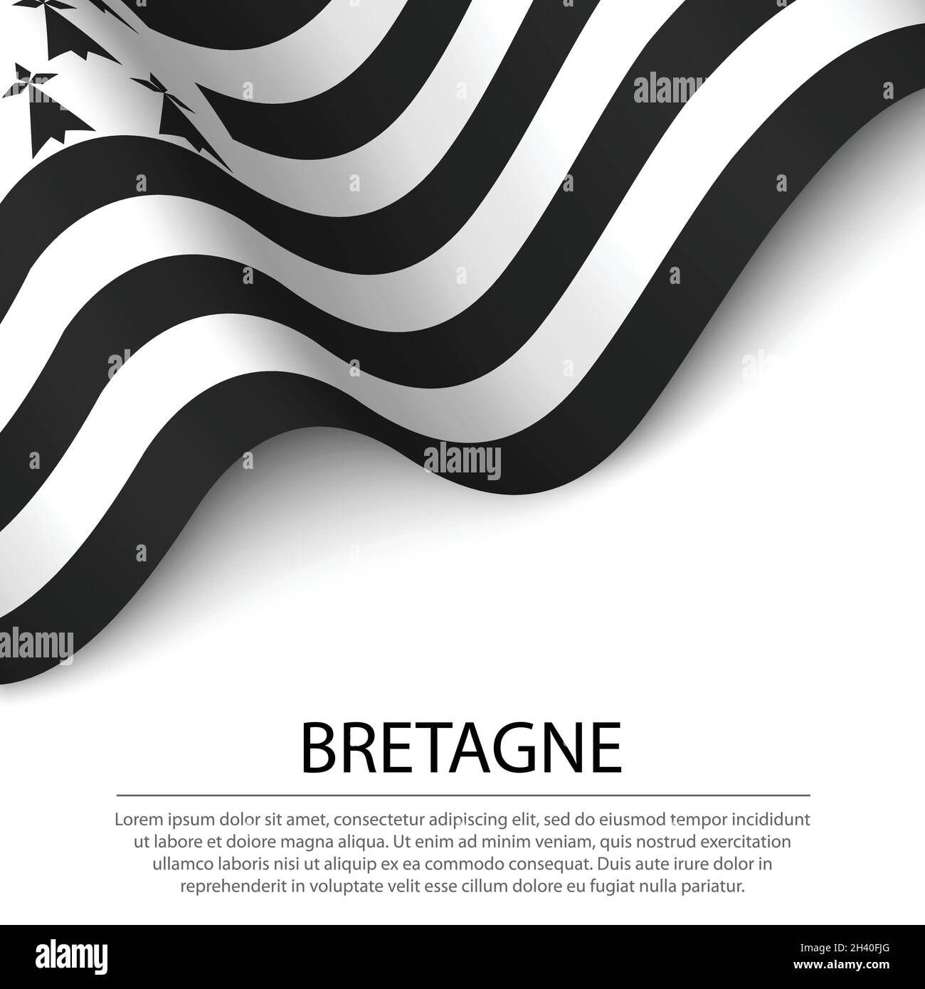 Waving flag of Brittany is a region of France on white background ...