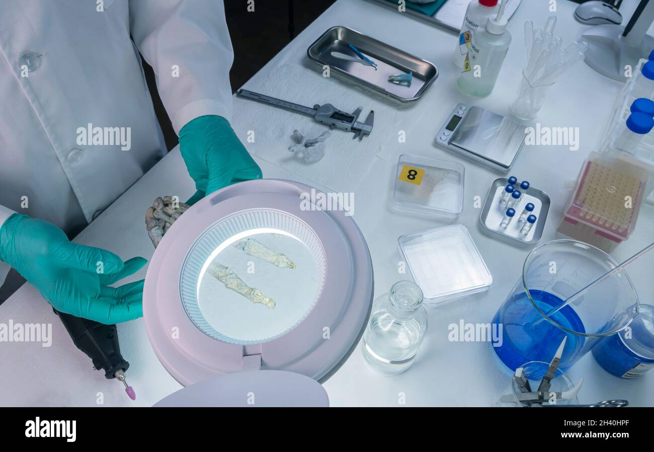 Forensic scientist magnifies right hand of human skeleton to investigate murder and take samples in crime lab, concept image Stock Photo