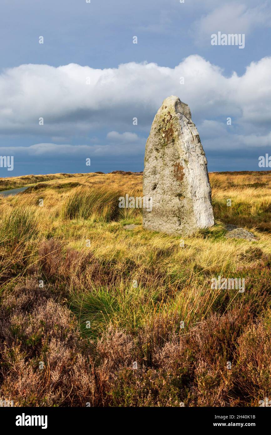 The Millenium Stone on Danby High Moor in the North York Moors Nation Park, Yorkshire, England Stock Photo