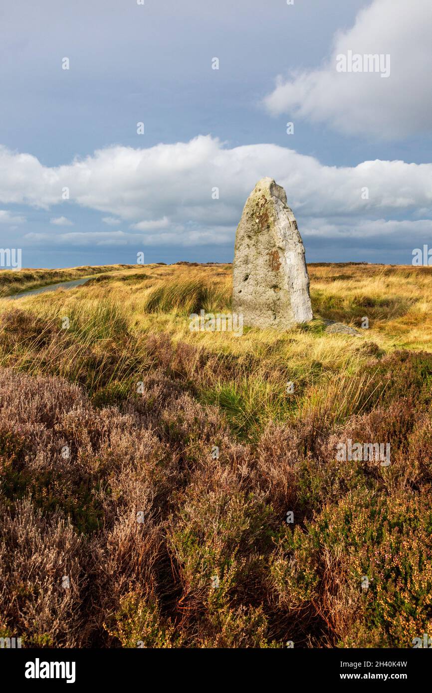 The Millenium Stone on Danby High Moor in the North York Moors Nation Park, Yorkshire, England Stock Photo