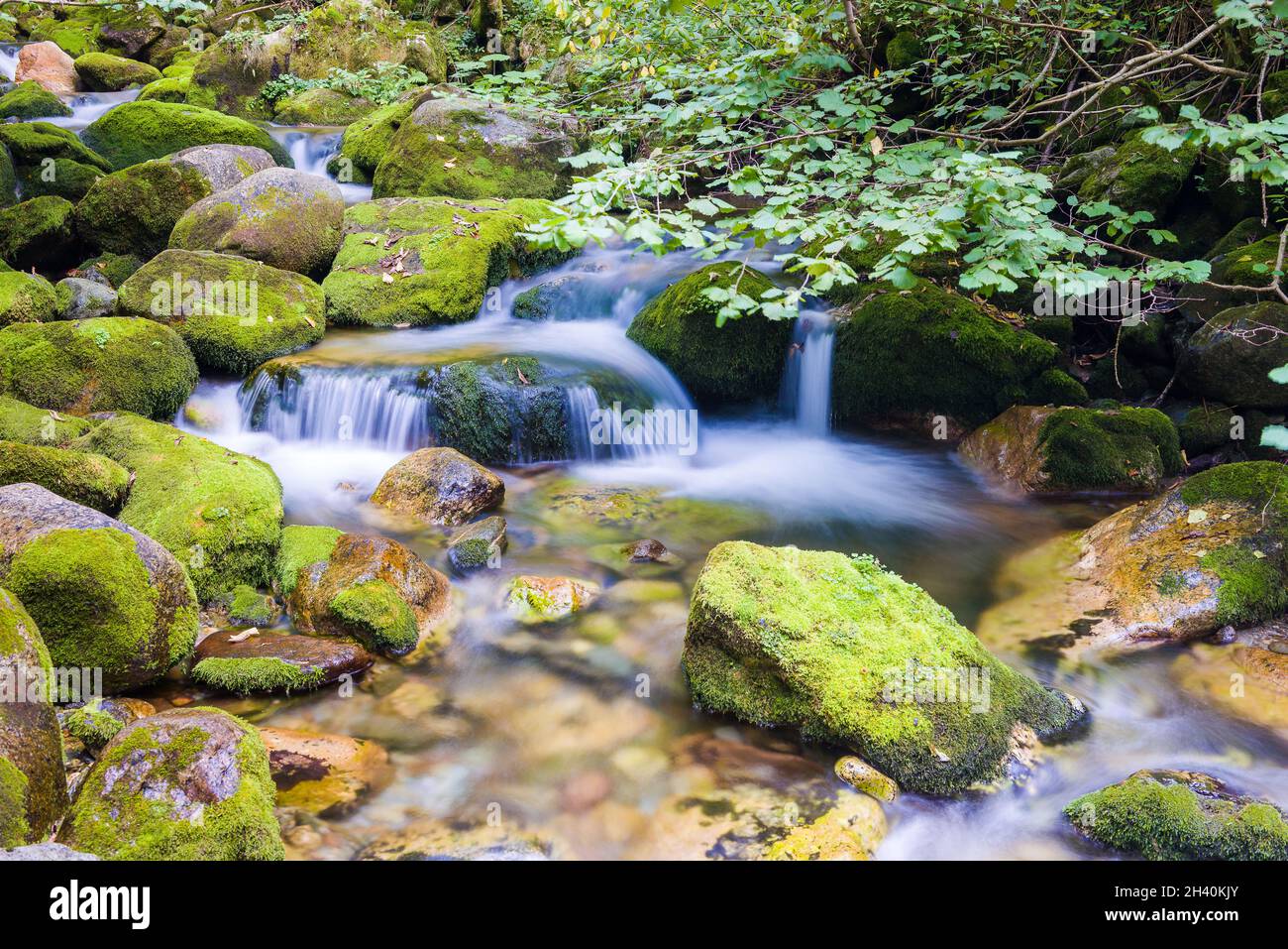 Creek in the Ligurian Alps Stock Photo