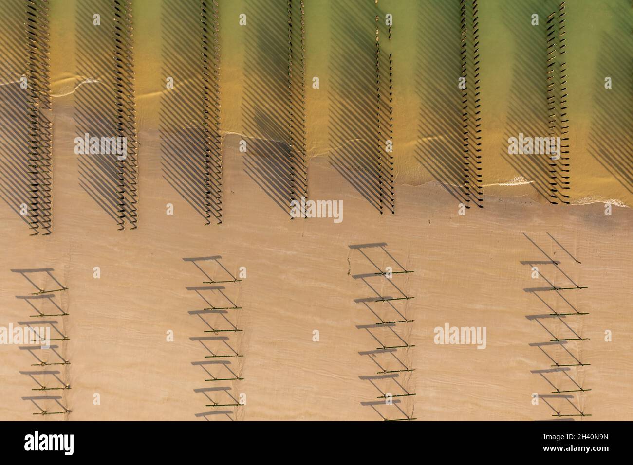 Les alignements de bouchots pour la culture des moules (vue aérienne) France, Hauts de France, Tardinghen ∞ Mold stakes at sunset Stock Photo