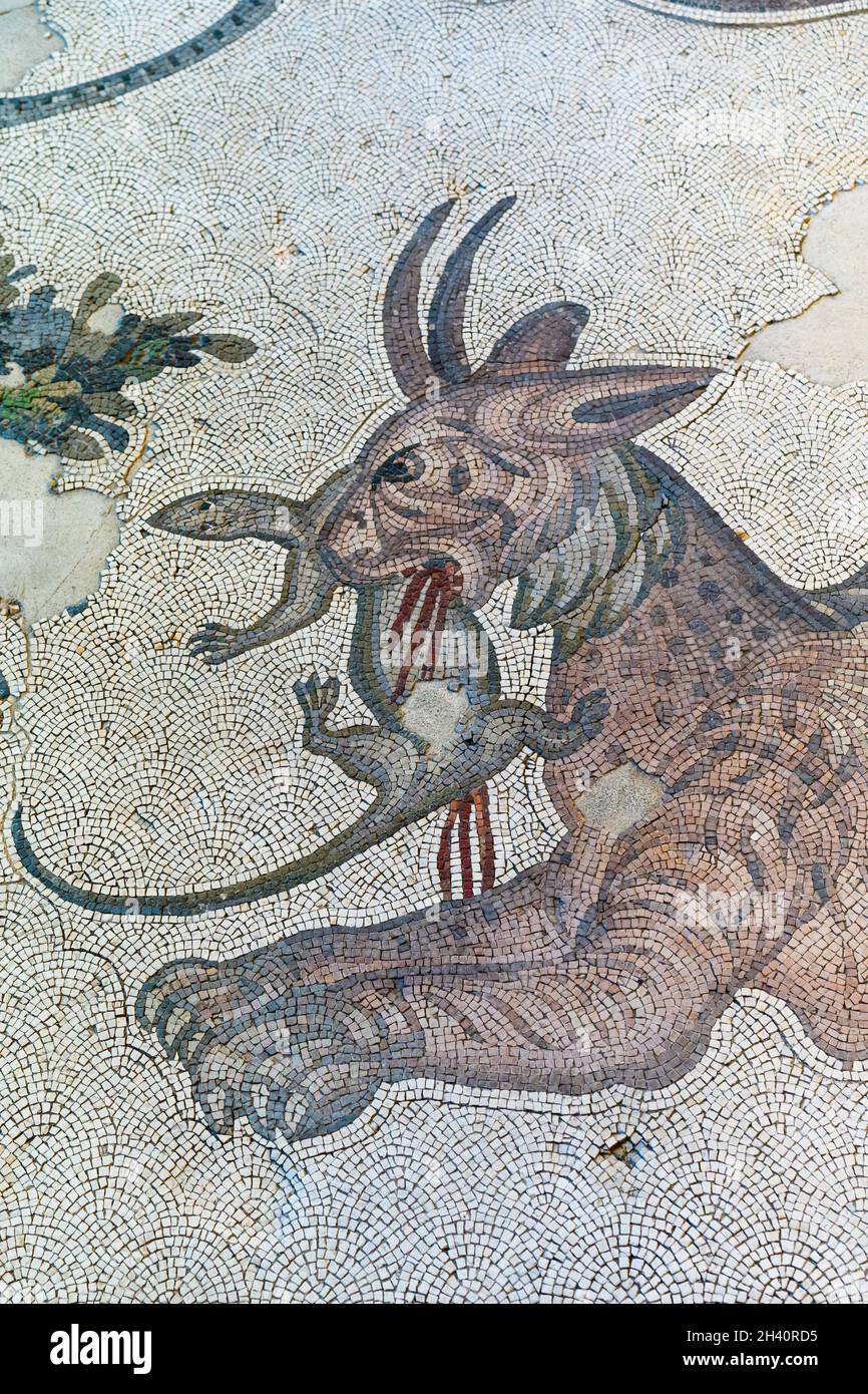 ISTANBUL, TURKEY - JULY 17, 2021: Scene with a fantastic animal carrying a lizard in its mouth made with mosaic stones at the Museum of Great Palace M Stock Photo