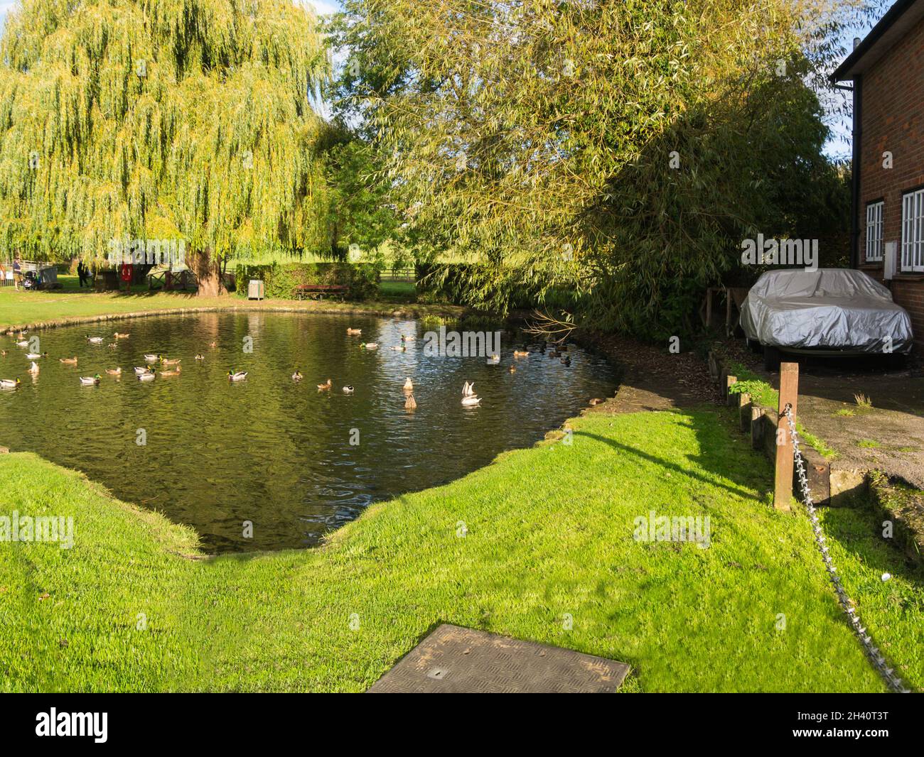 Duckpond in lovely village of Chalfont St Giles Buckinghamshire England UK on of the Chalfonts villages Stock Photo