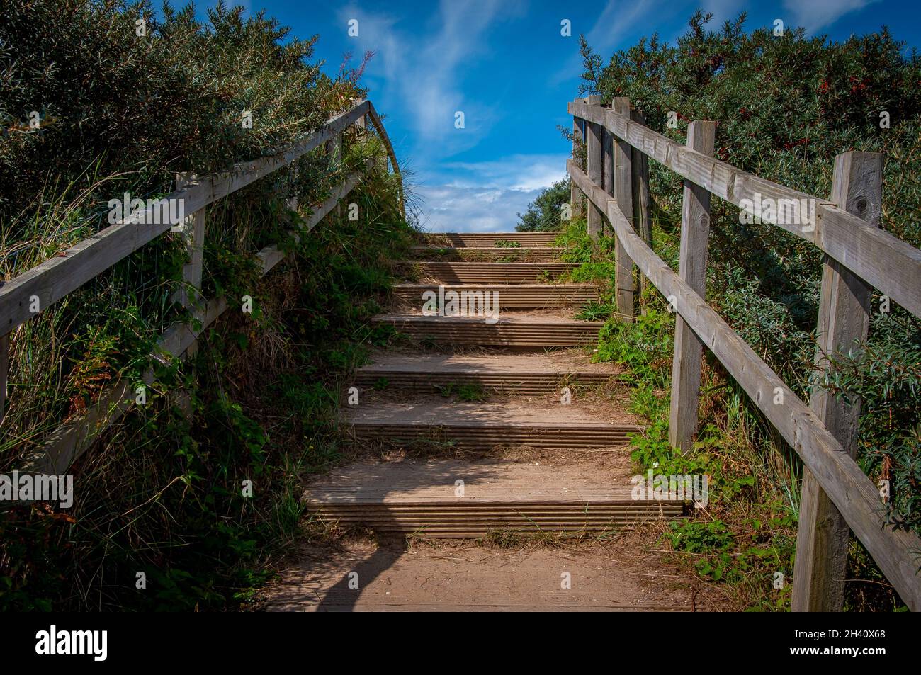 Fenced wooden steps leading up a hill into the sky Stock Photo